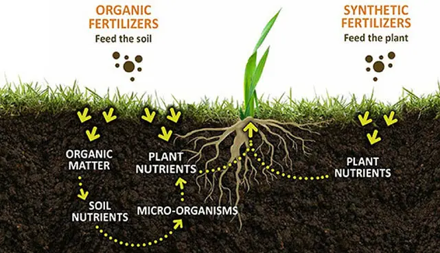 A diagram of how to grow organic plants.