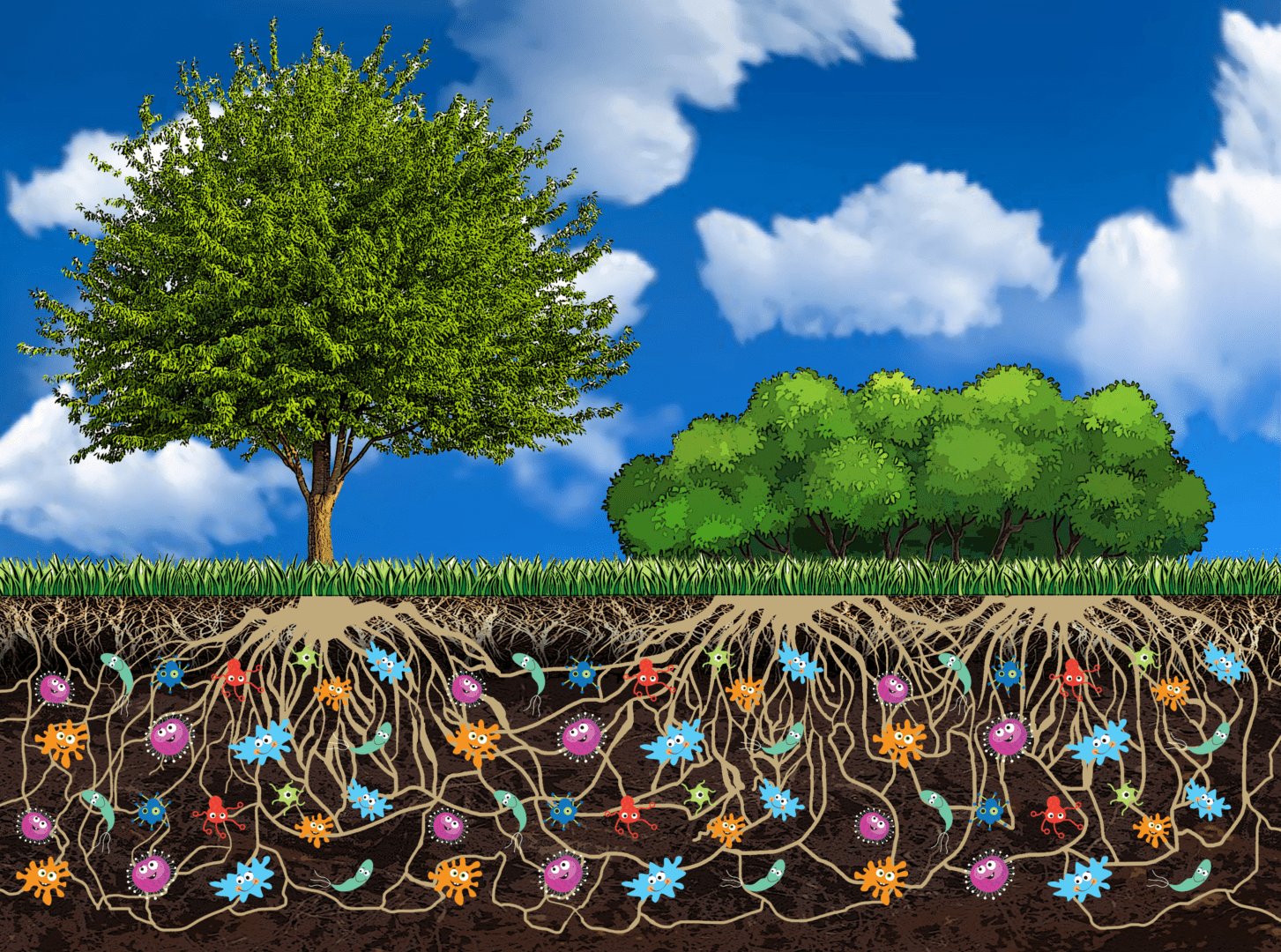 A drawing of the ground with flowers growing on it.