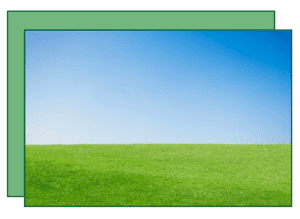 A green field with blue sky in the background.