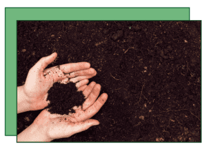 A person holding dirt in their hands