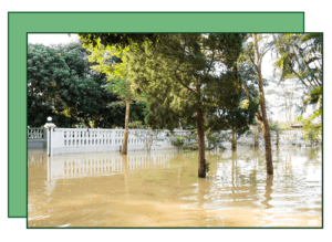 A flooded area with trees and bushes in the background.