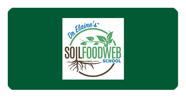 Dr elaine 's soil food web school