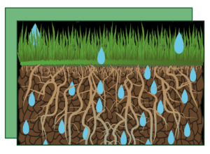 A drawing of grass and dirt with water drops on it.